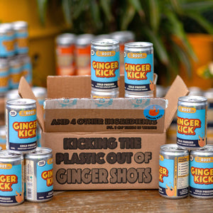 The Root Co. Ginger Kick 140ml
